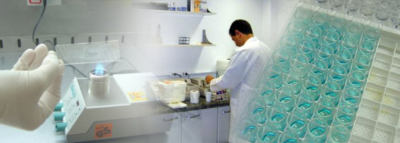 Laboratório Paddock